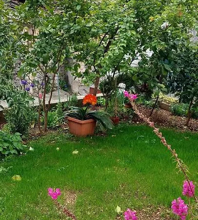 House トロギール