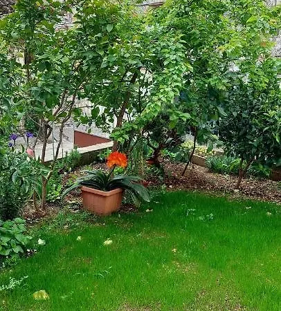 House トロギール