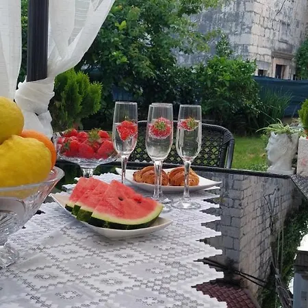 House * 트로기르