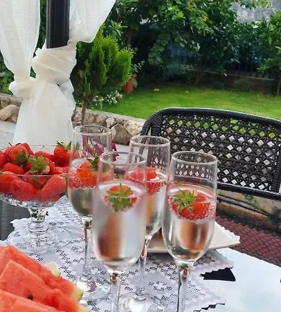 House * トロギール