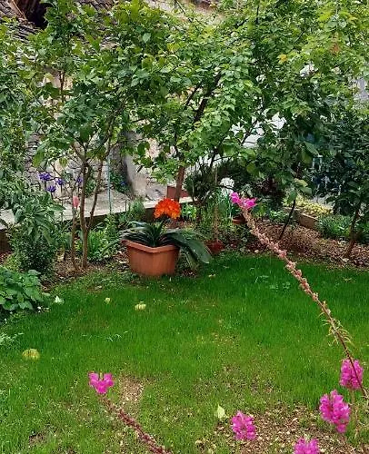 House トロギール